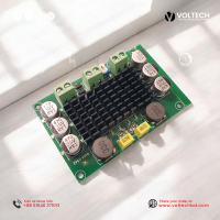 Gold A542 TPA3116 Class D 100W Mono Powerful Amplifier | Best Price in Bangladesh